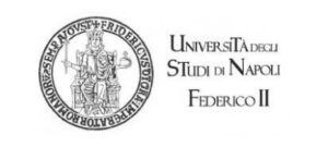 Partnership - Centro Studi Italiani