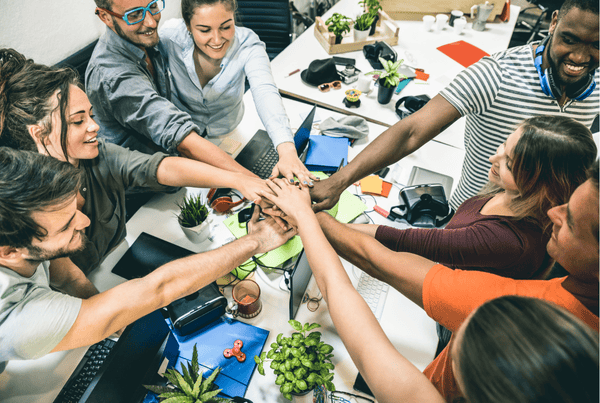 Business & Entrepreneurship